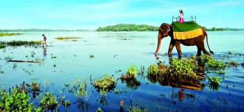 AMAZING SRI-LANKA