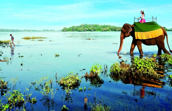 AMAZING SRI-LANKA