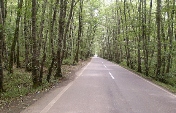 MASHHAD - RAMSAR - CHALUS - TEHRAN 