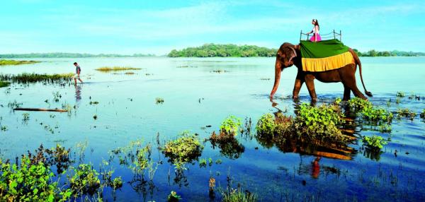 HONEYMOON IN SRI-LANKA 